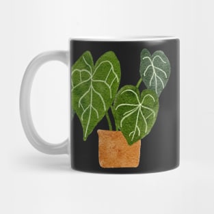 Anthurium Clarinervium Plant Mug